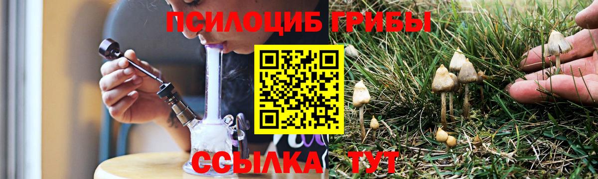 что такое   Вход с VPN  Артёмовский  Псилоцибиновые грибы мицелий 