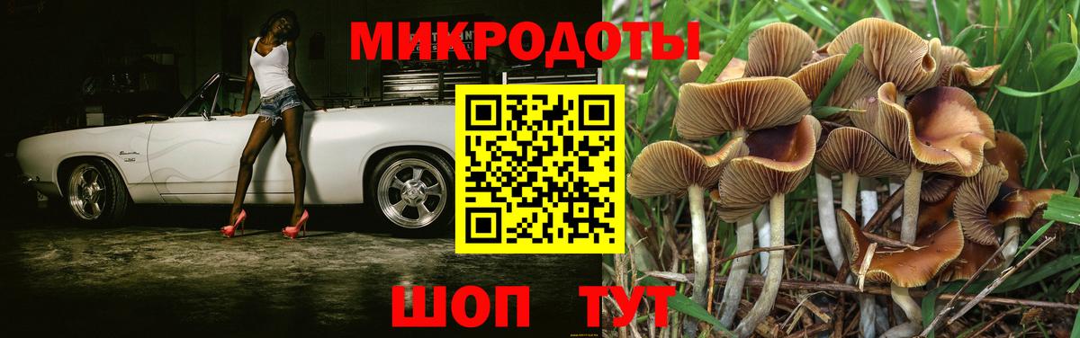 Псилоцибиновые грибы мухоморы Артёмовский